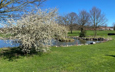 Unser Golfplatz 2020 II – Farbimpressionen