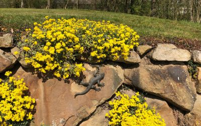 Unser Golfplatz XIII – Bahnen 16 bis 18