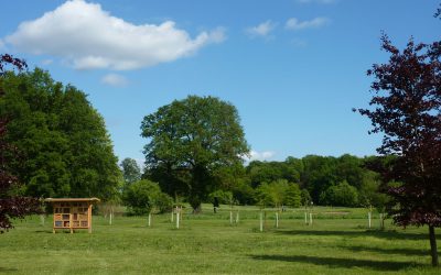 Newsletter und Bildergalerie