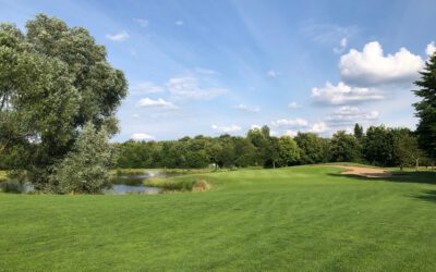 Grün in vielen Schattierungen und ein geheimnisvoller Gast