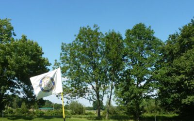 5. Spieltag AK 50 – Mannschaften