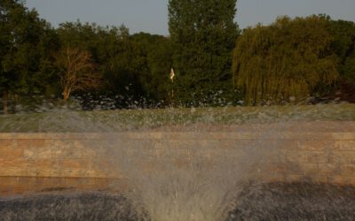 Ergebnisse vom Monatsbecher August