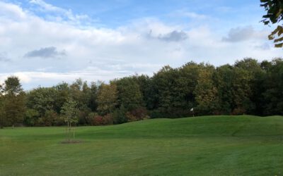 Neuer Schotterweg und neugepflanzter Baum an Bahn 2