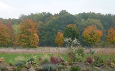 Turniere am Wochenende