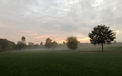 Regelkunde für Beginners im November