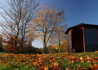 Herbstlaubperspektive mit Schutzhütte