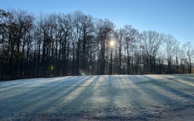 Der erste Newsletter 2021 ist da