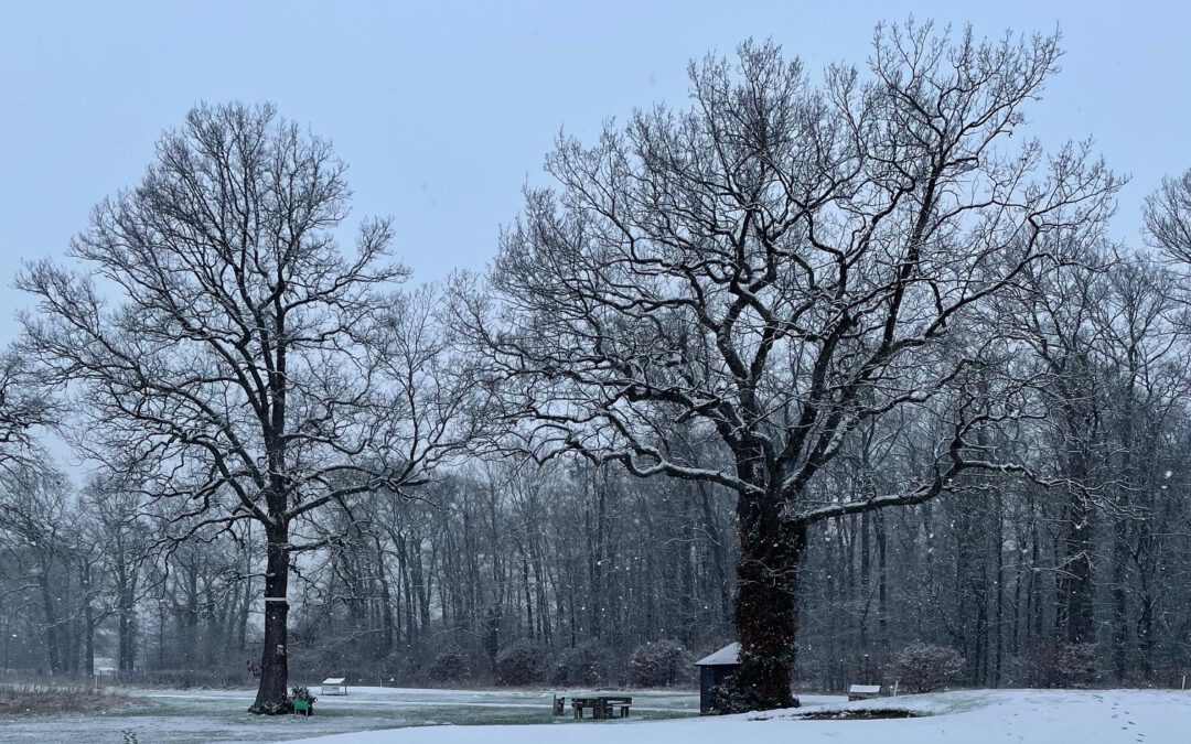 Schnee-Impressionen vom Golfplatz