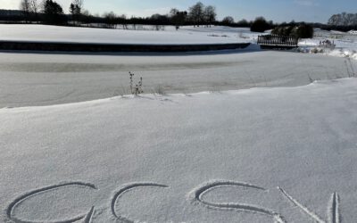 Winterferien für die Sommergrüns