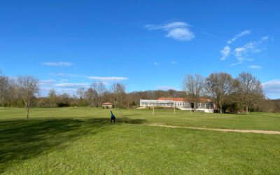 Hoch „Reiner“ bringt den Frühling zurück