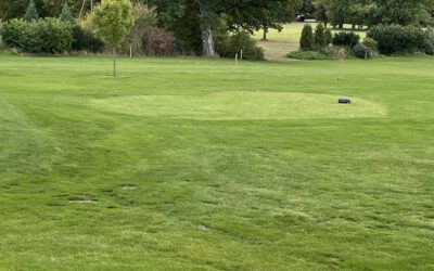 Testweiser Einsatz eines Mähroboters