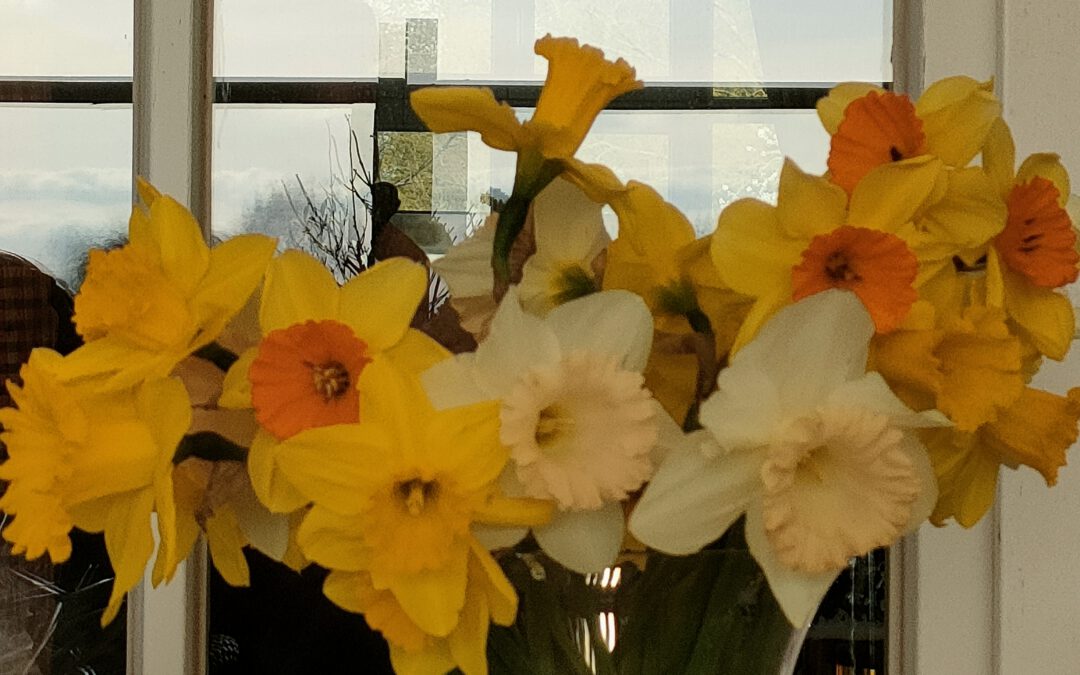 Saisoneröffnung Ostervierer sponsored by planetgolf