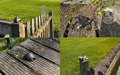 Neue Platzbewohner – Bronzefiguren von Wolfgang Lamché